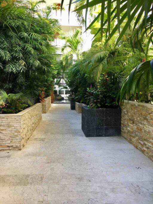 Your Exclusive Studio In The City - Top Amenities & Services For Free!! Playa del Carmen Exterior photo